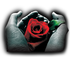 Zakład Pogrzebowy Sebastian Dacyna Nowa Ruda